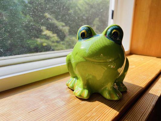 Frog. We also painted an alpaca plant holder.
