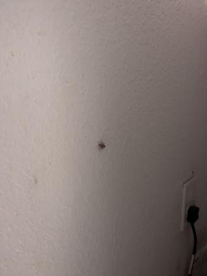 Extended Stay America