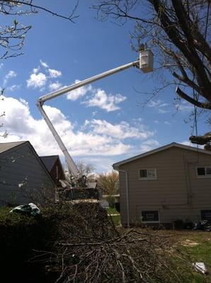 Mz Tree Service