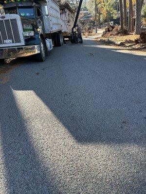 Crash's Tree Surgeons