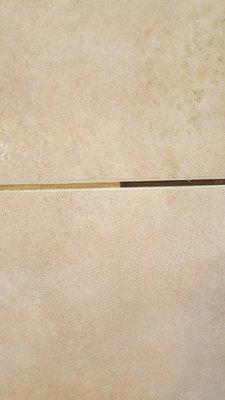 Gold Standard Floor Care