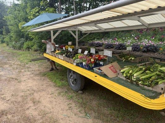 Cole’s Farm and Greenhouses