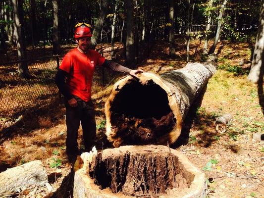 Sequoia Tree Service