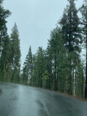 French Meadows Campground