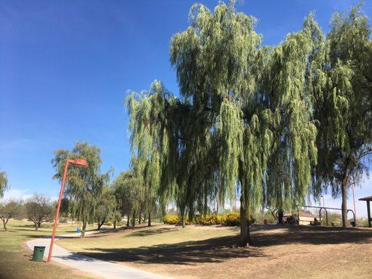 Desert Willow Park