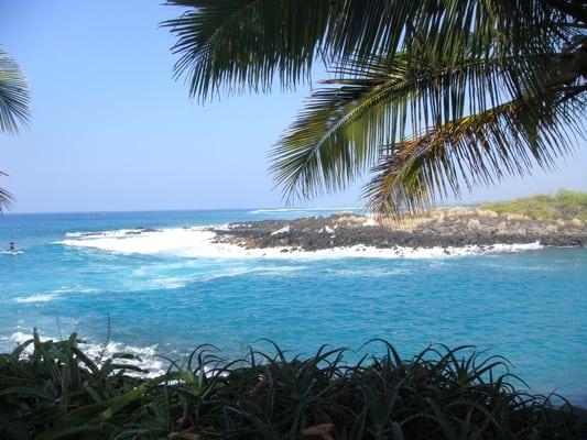 looking north from the grass