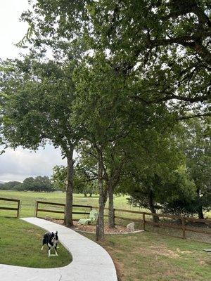 Earths Finest Tree Services