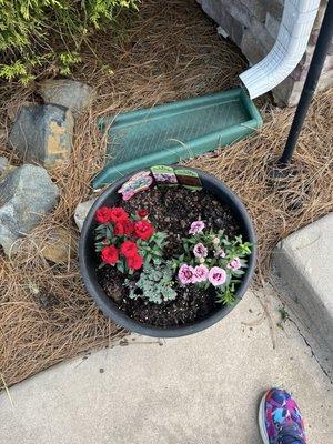 Southern Roots Garden Center