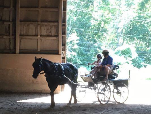 Blackhorse Equestrian Center