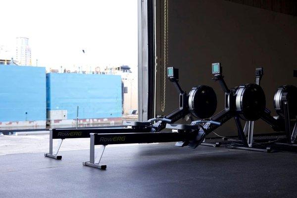 Body In Rhythm Training