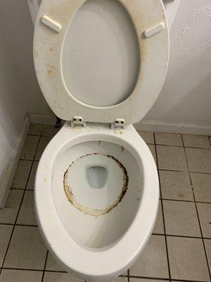 Move out/move in cleaning