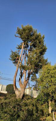 Two Brothers Landscape