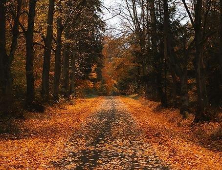 Motivations Counseling