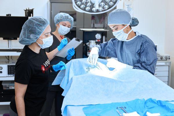 VEG veterinarians in surgery