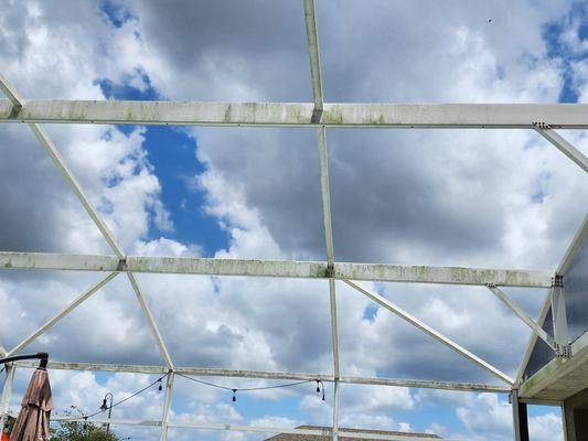 Bright And Clean Pool