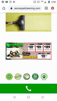 Steamgreen Carpet Cleaning