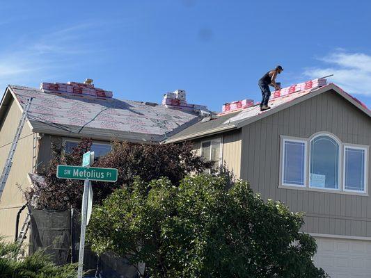 Mighty Dog Roofing