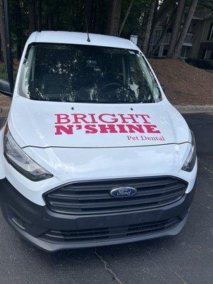 Bright N’ Shine Pet Dental
