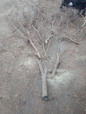 Square Business Handyman Service