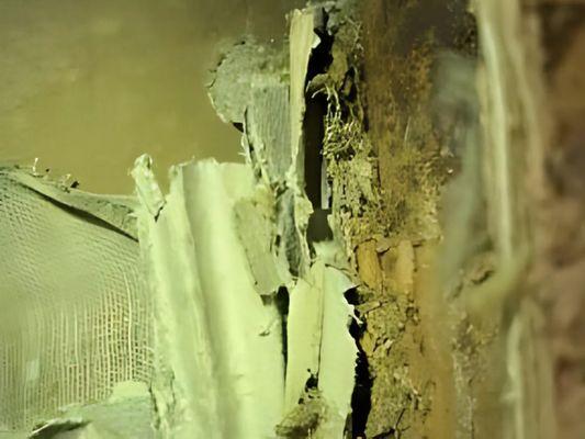 "Severe wall damage revealing mold growth and material deterioration, indicating moisture intrusion and potential structural concerns."