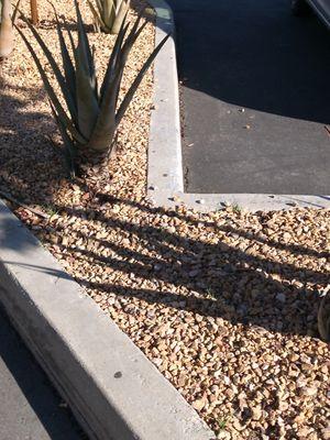 From the other side photography