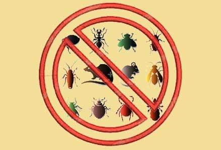 General Exterminating