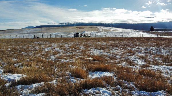 Marcella Manuel - Coldwell Banker The Brokers