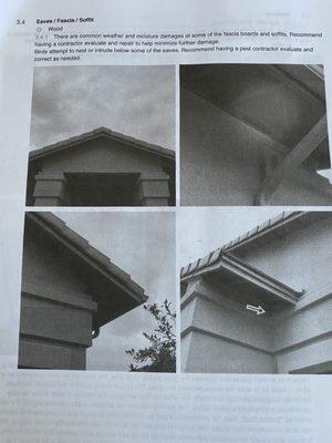 Pillar To Post Home Inspectors - Chris Yancey