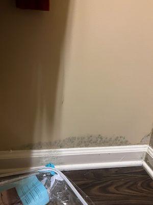 Signal Hill Apartments