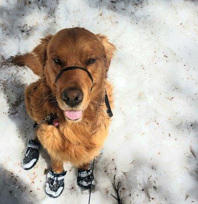 Ready for fun at the Sno-Park!