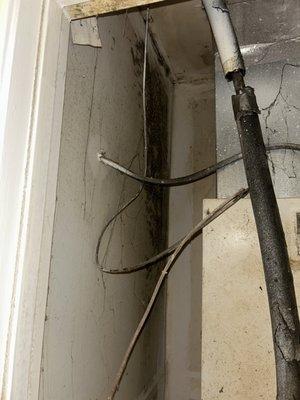 Mold in ac closet