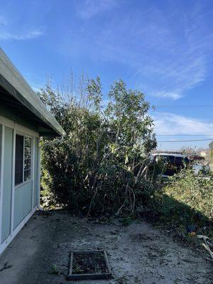 Chavez Hardscaping & Landscaping