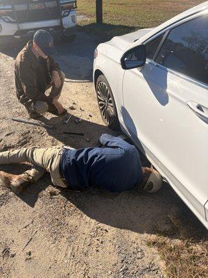 Anderson Pest & Termite Specialist