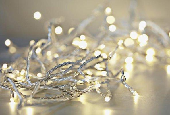 Steve's Holiday Lights