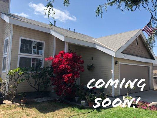 Alexander Lux Properties