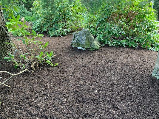 Sunset Landscaping Services