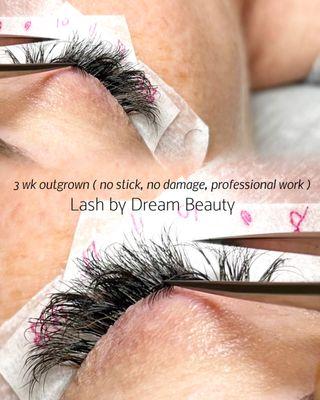 Dream Beauty Lash & Brow