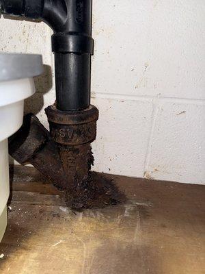 24 Hour Drain Service