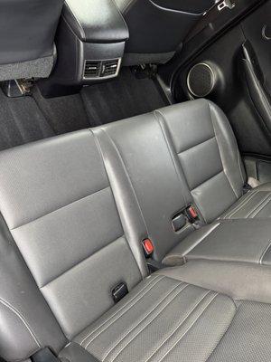 Grizzly Auto Detailing