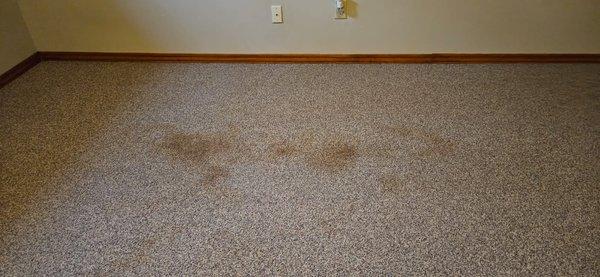 COIT Cleaning and Restoration