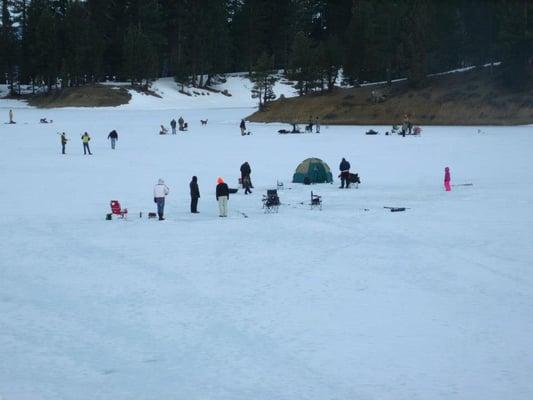 J&Js Grizzly Store & Camping Resort