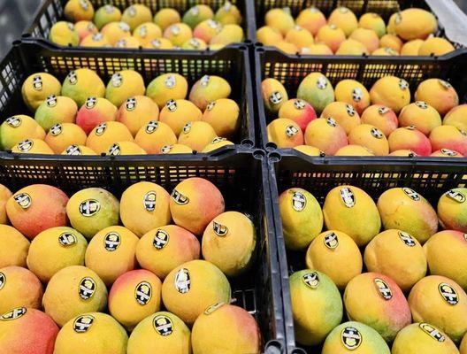 Denver Fresh Produce