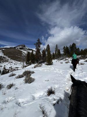 Beautiful scenery.... Moose around the corner
