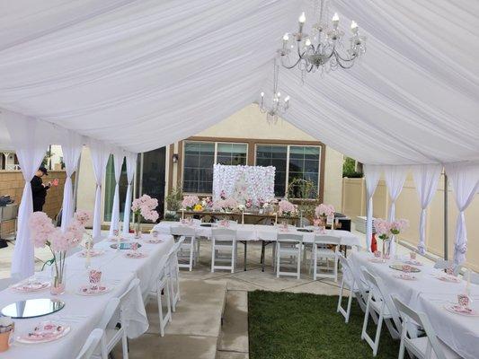 Alexander's party supplies