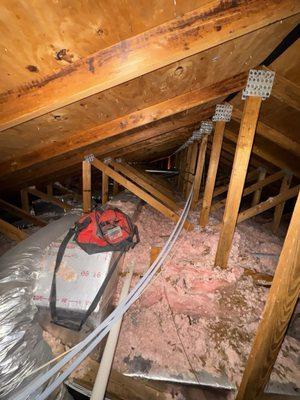 Strong Field General Service