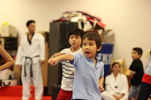 USA Tae Kwon Do School