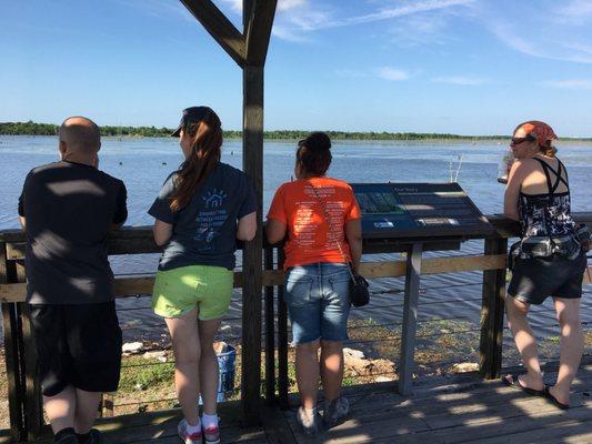Bayou Bienvenue Wetland Triangle