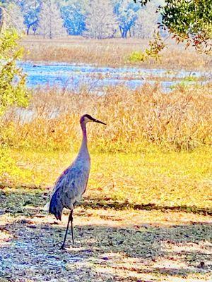 Crews Lake Wilderness Park