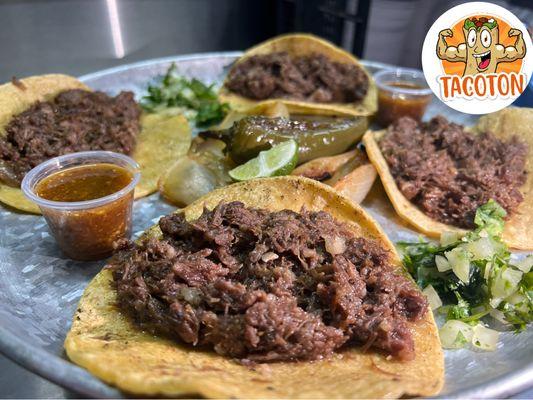 Taqueria Tacoton