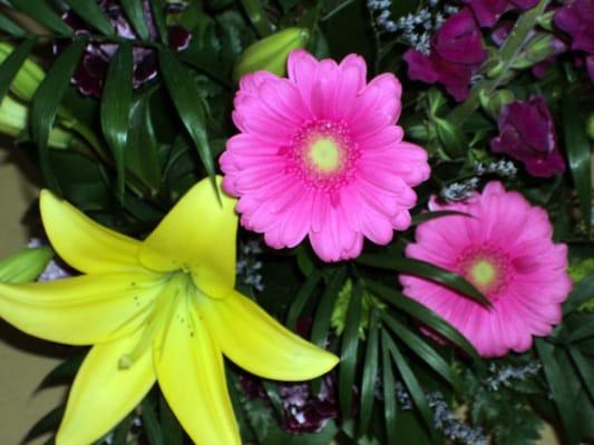 Floral Arrangements by Bobbi Jo